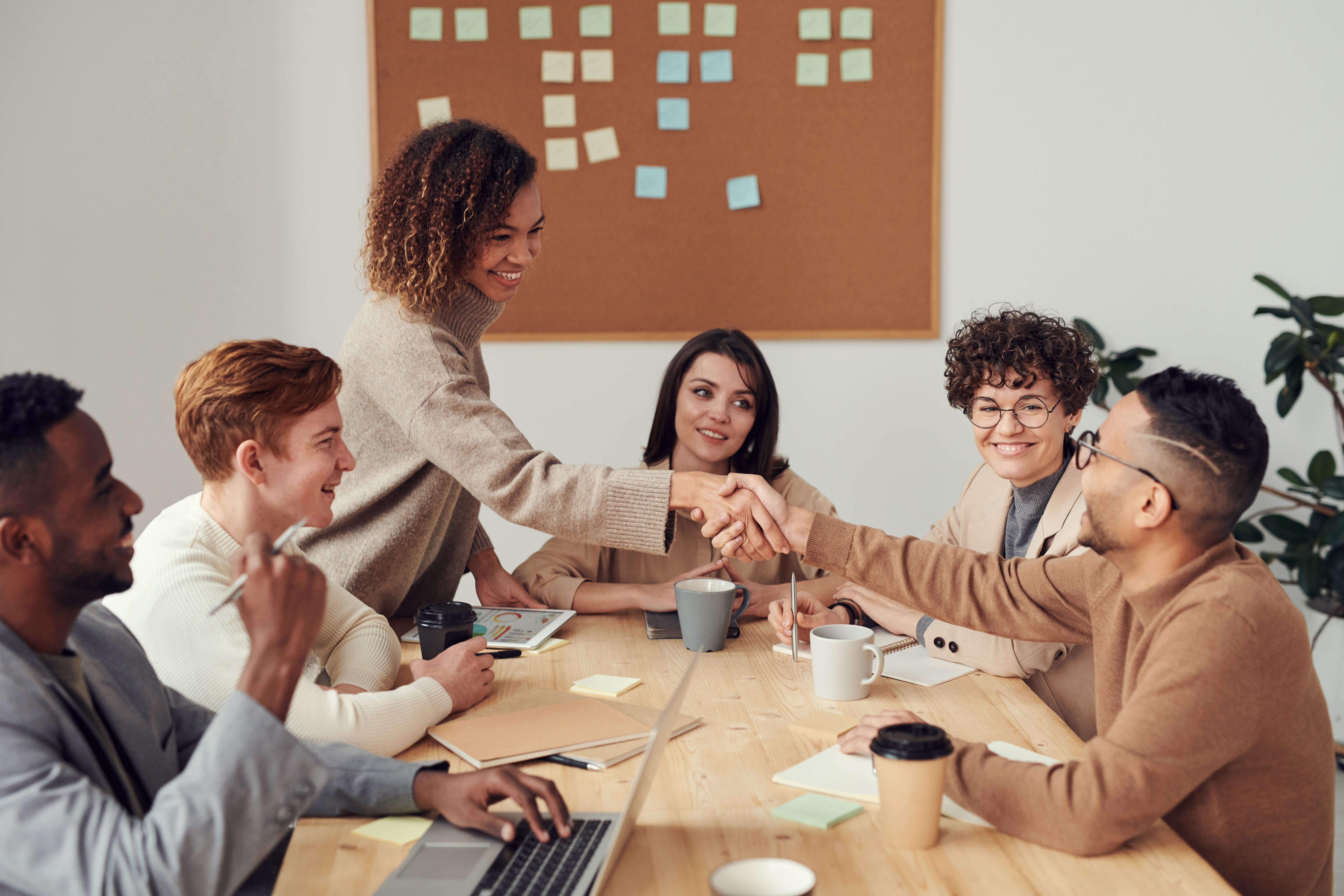 Definition of Mediation